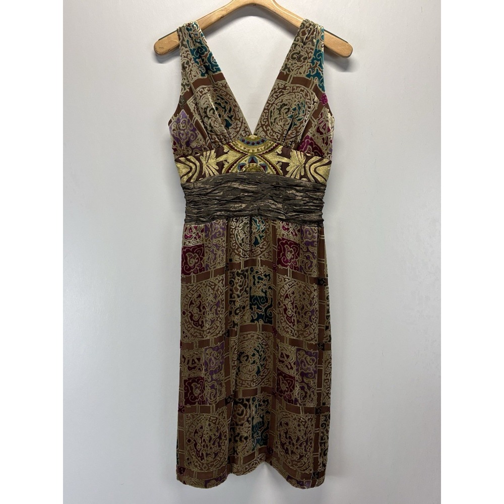 Nicole Miller Collection Velvet Burnout Dress 10 Sleeveless Fairy Whimsical